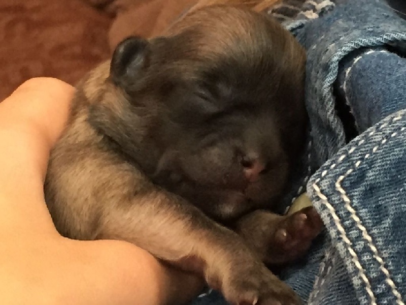 Bébés d'Holympe nés le 07 mai 2015